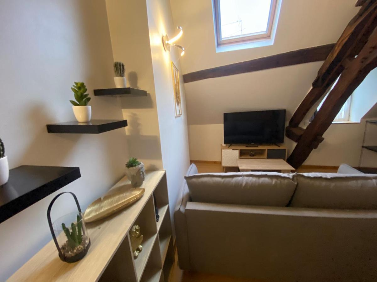 Le Puits Du Bourg Apartment Nevers Luaran gambar