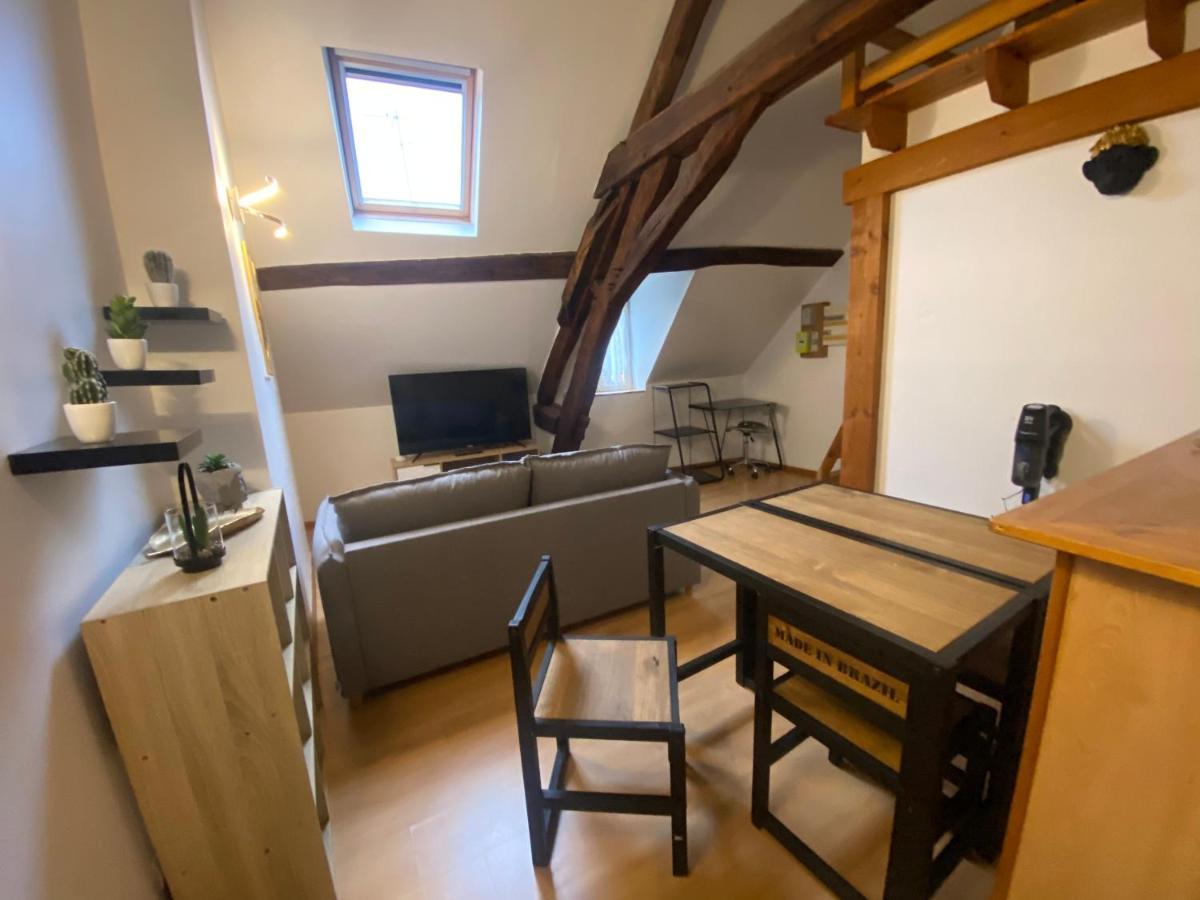 Le Puits Du Bourg Apartment Nevers Luaran gambar